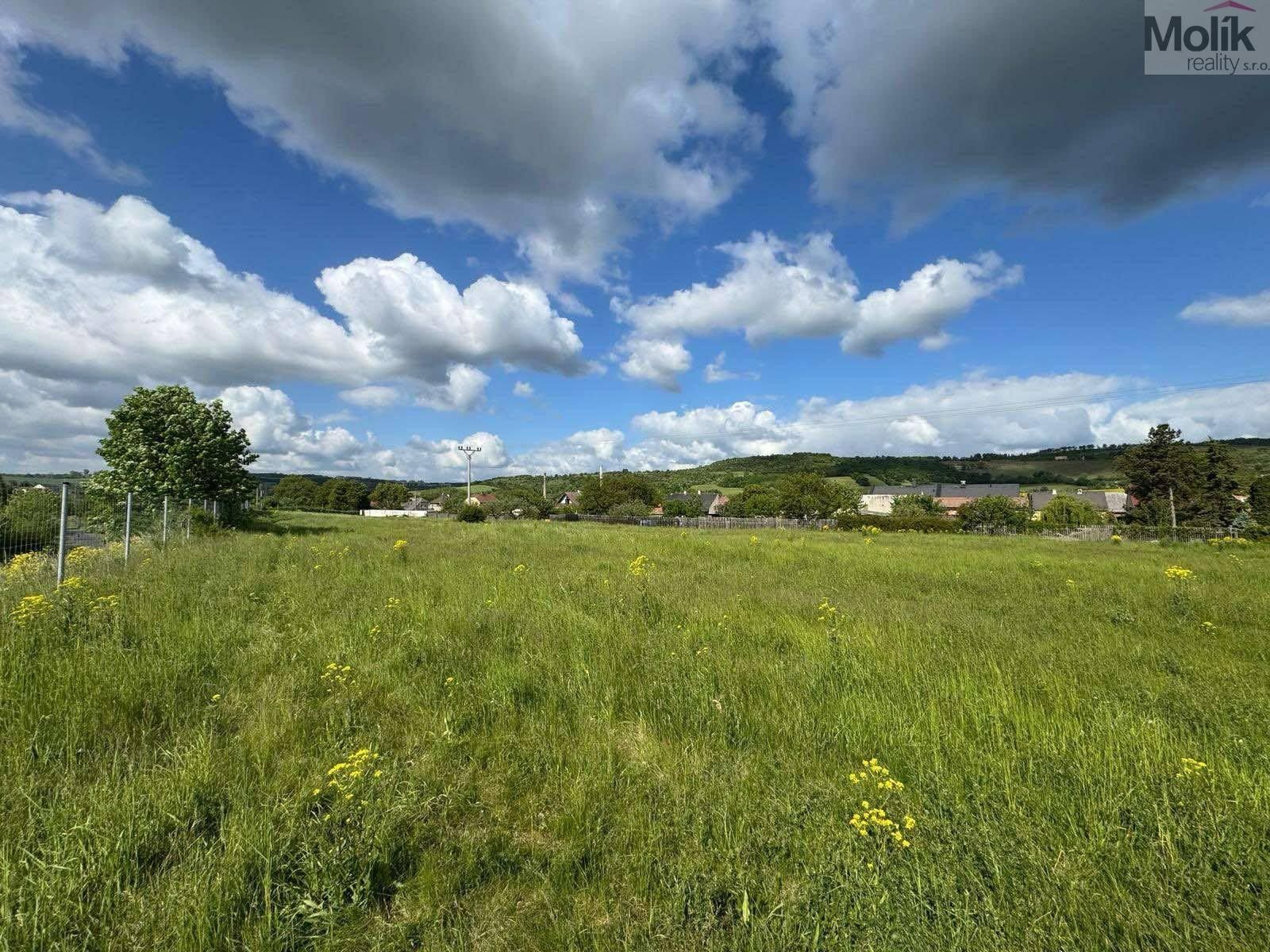 Prodej komerční pozemek - České Zlatníky, Obrnice, 6 880 m²