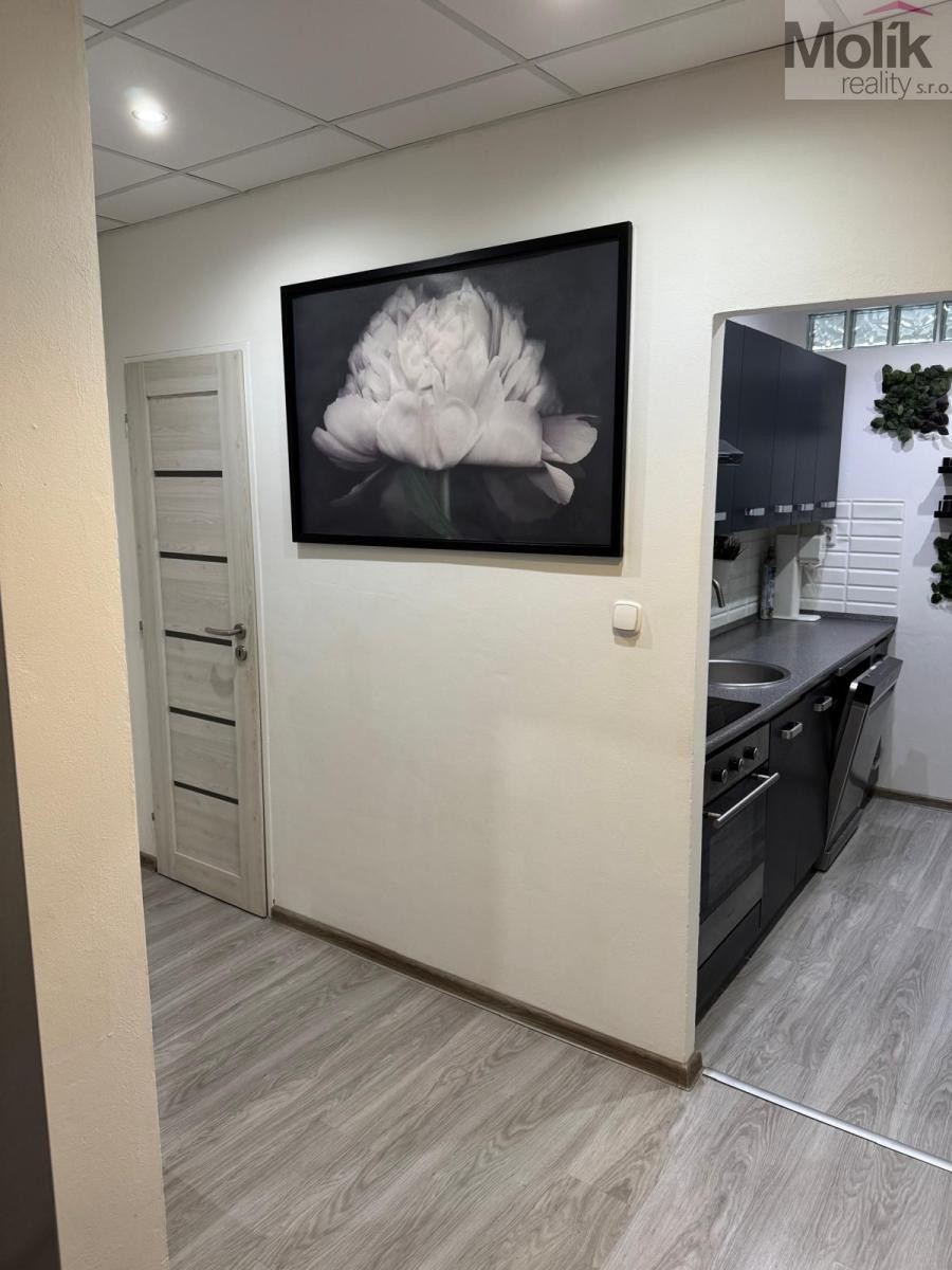 Byt 3+1 · 63 m² · B. Němcové, Litvínov - 3