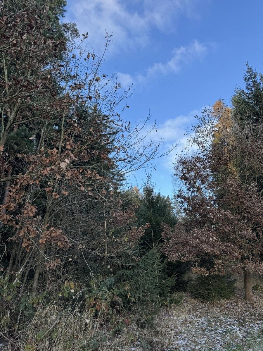 Pozemky pro bydlení, Klatovy, 339 01