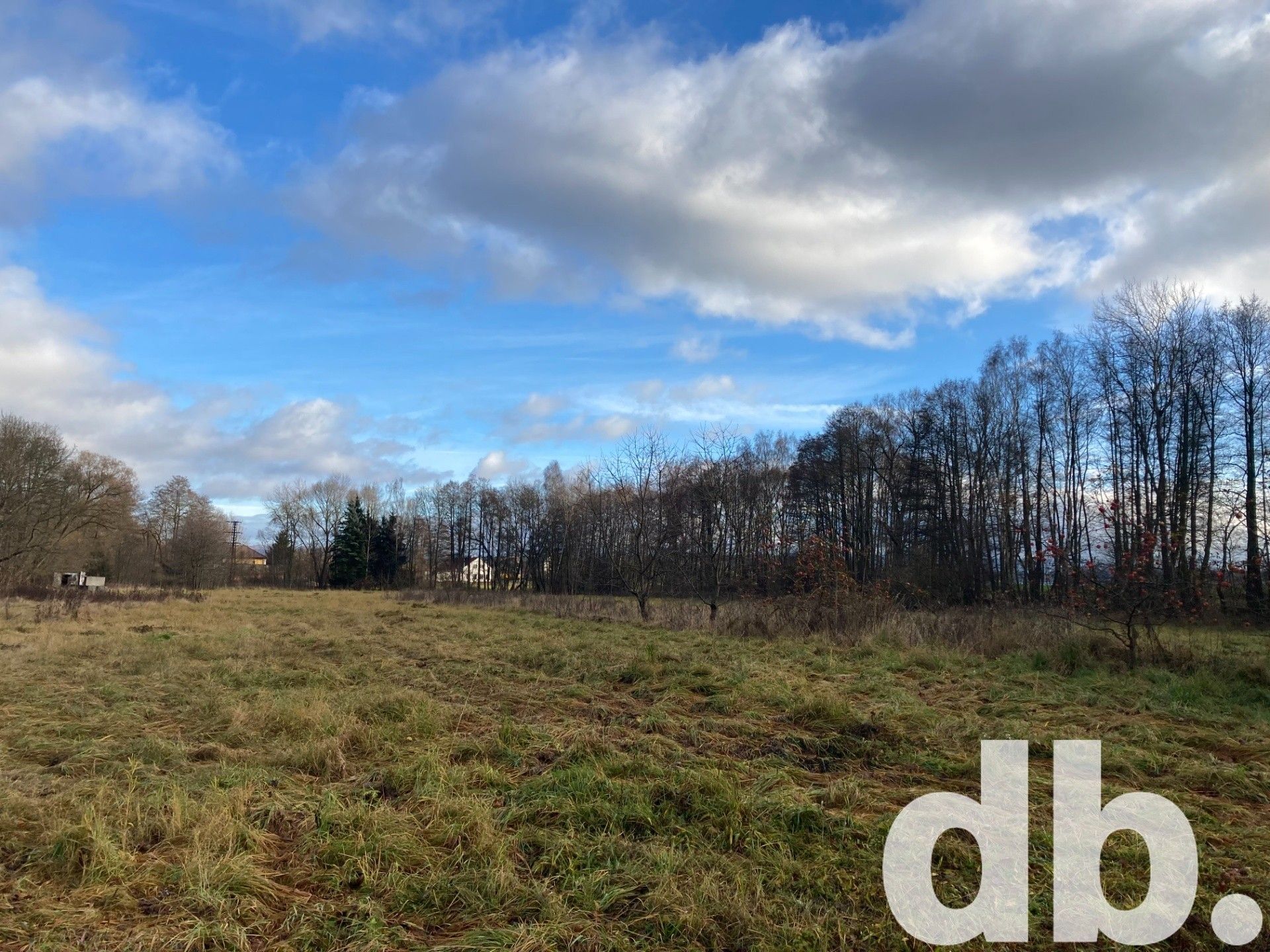 Prodej zemědělský pozemek - Kfely, Ostrov