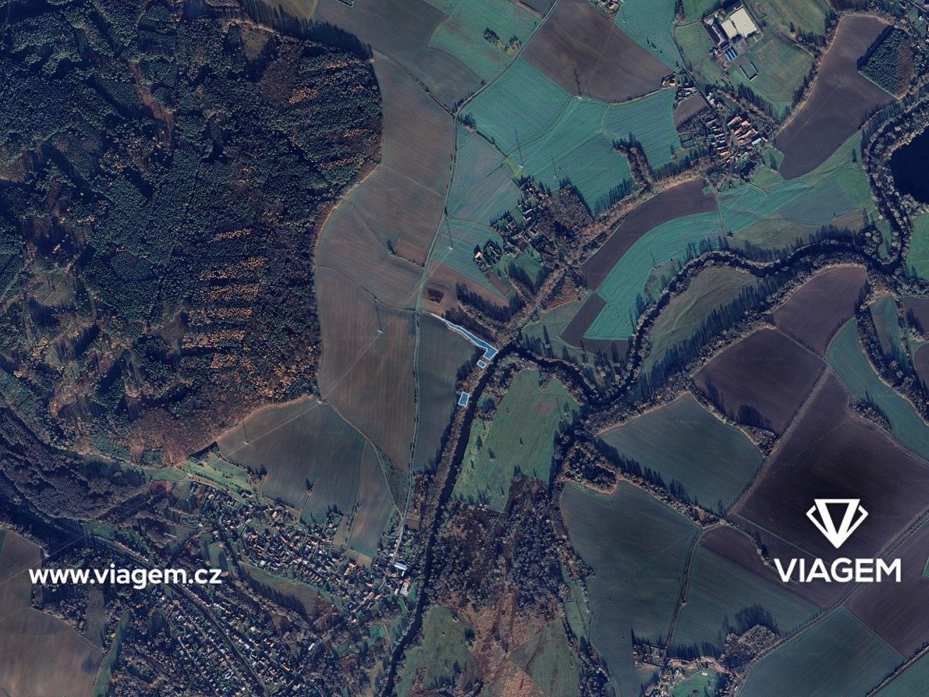Les · Nová Ves u Bakova, okres Mladá Boleslav, Středočeský kraj - 3