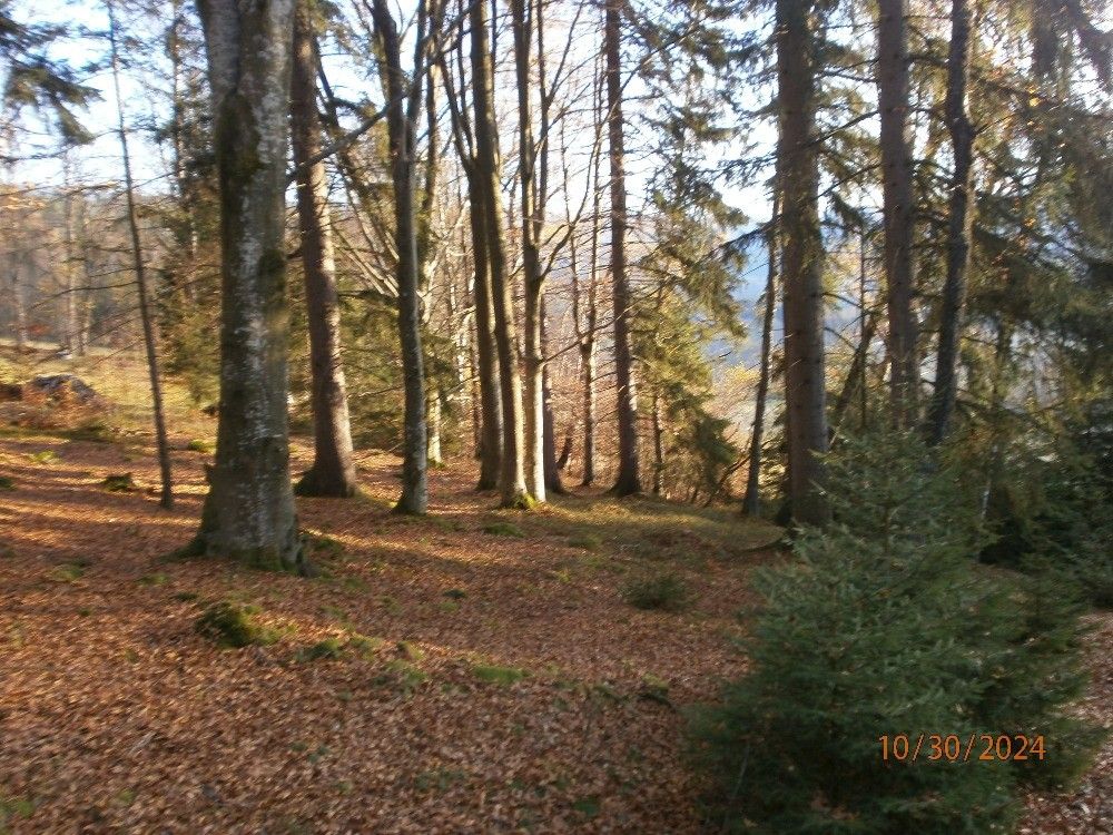 Prodej pozemek pro bydlení - Železná Ruda, 340 04