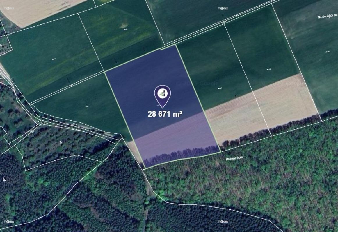 Zemědělské pozemky, Hracholusky, 29 079 m²