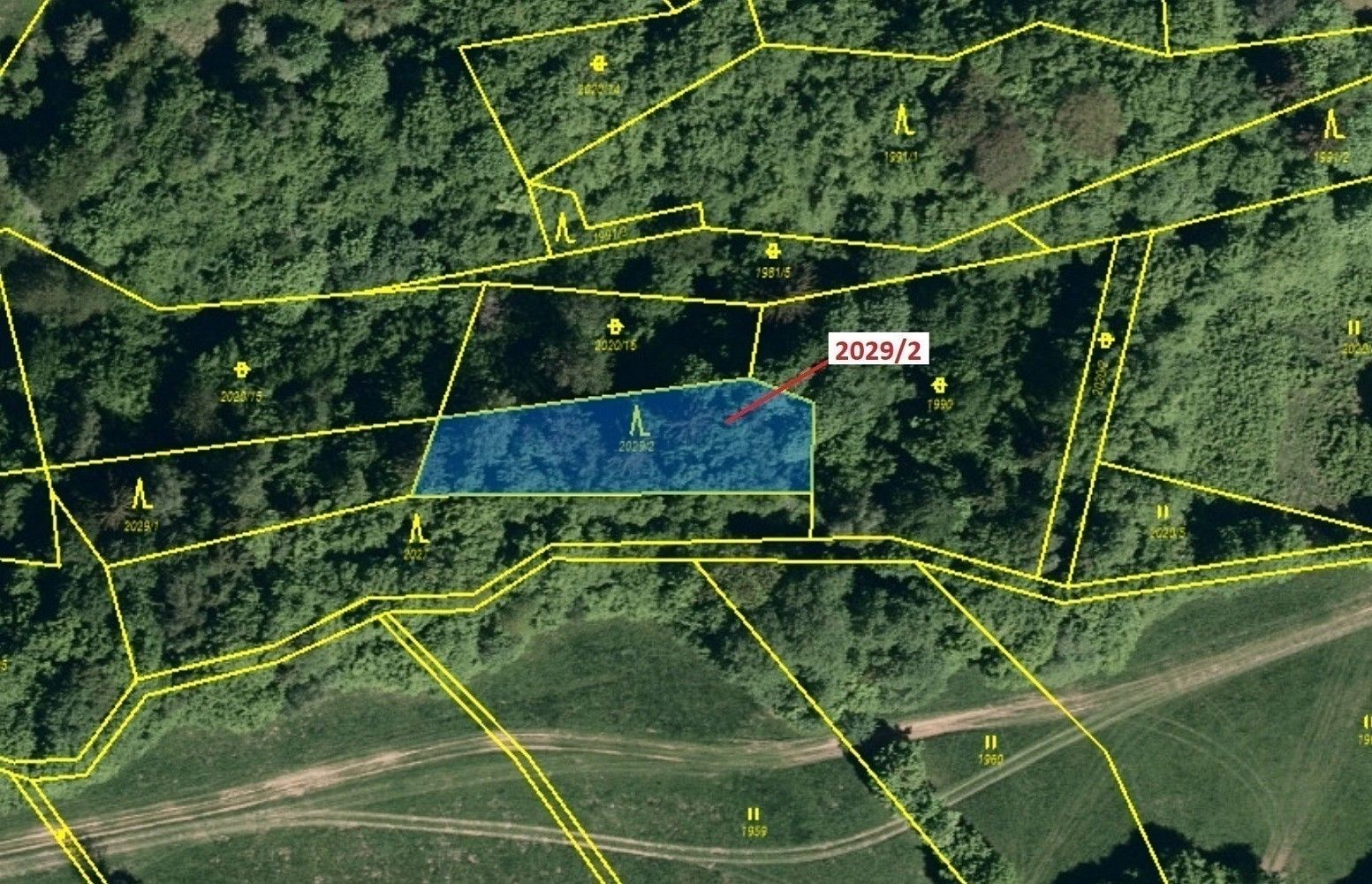 Prodej les - Hovězí, okres Vsetín, Zlínský kraj - 2