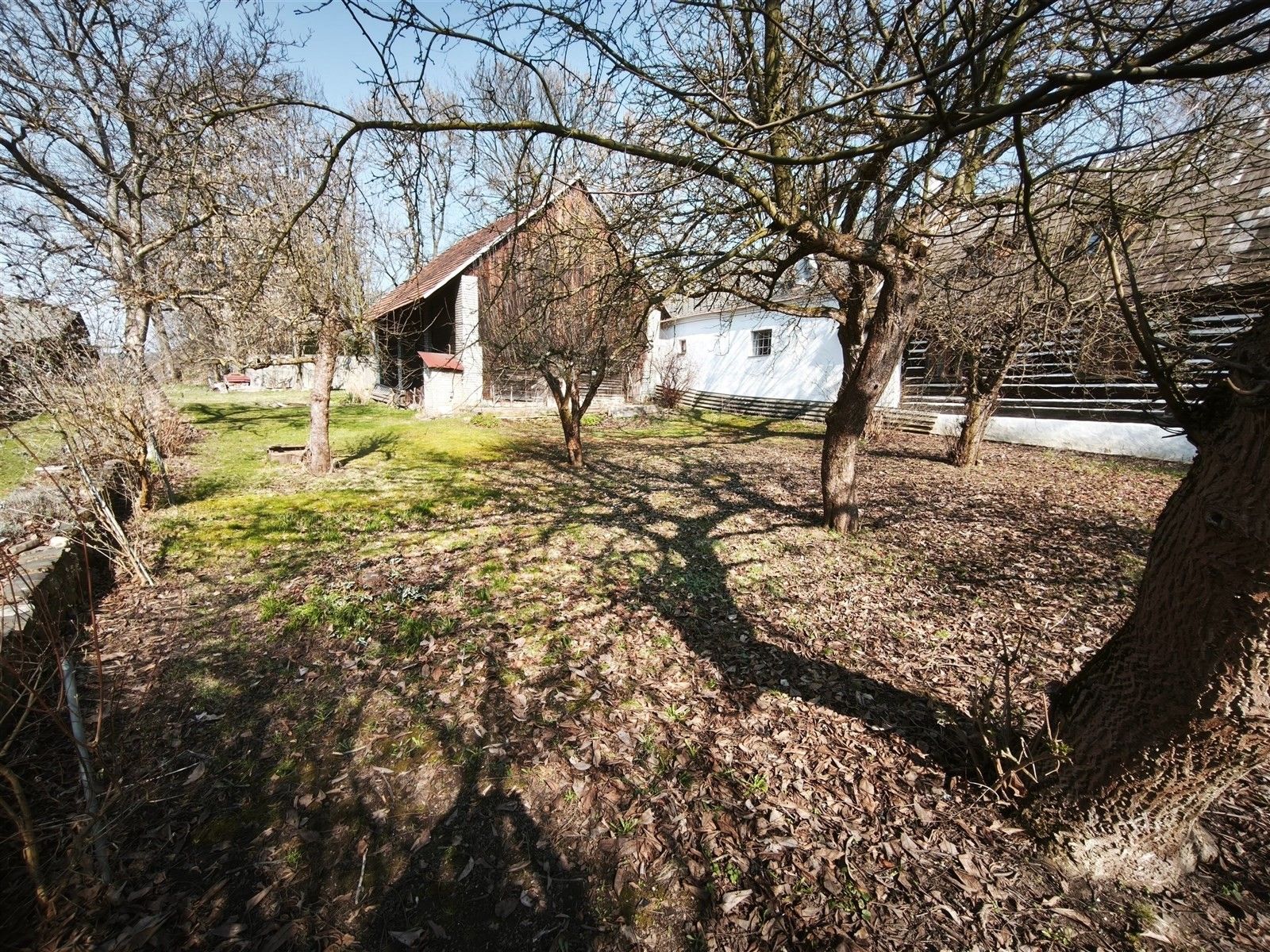 Prodej pozemek pro bydlení - Olešná - 2