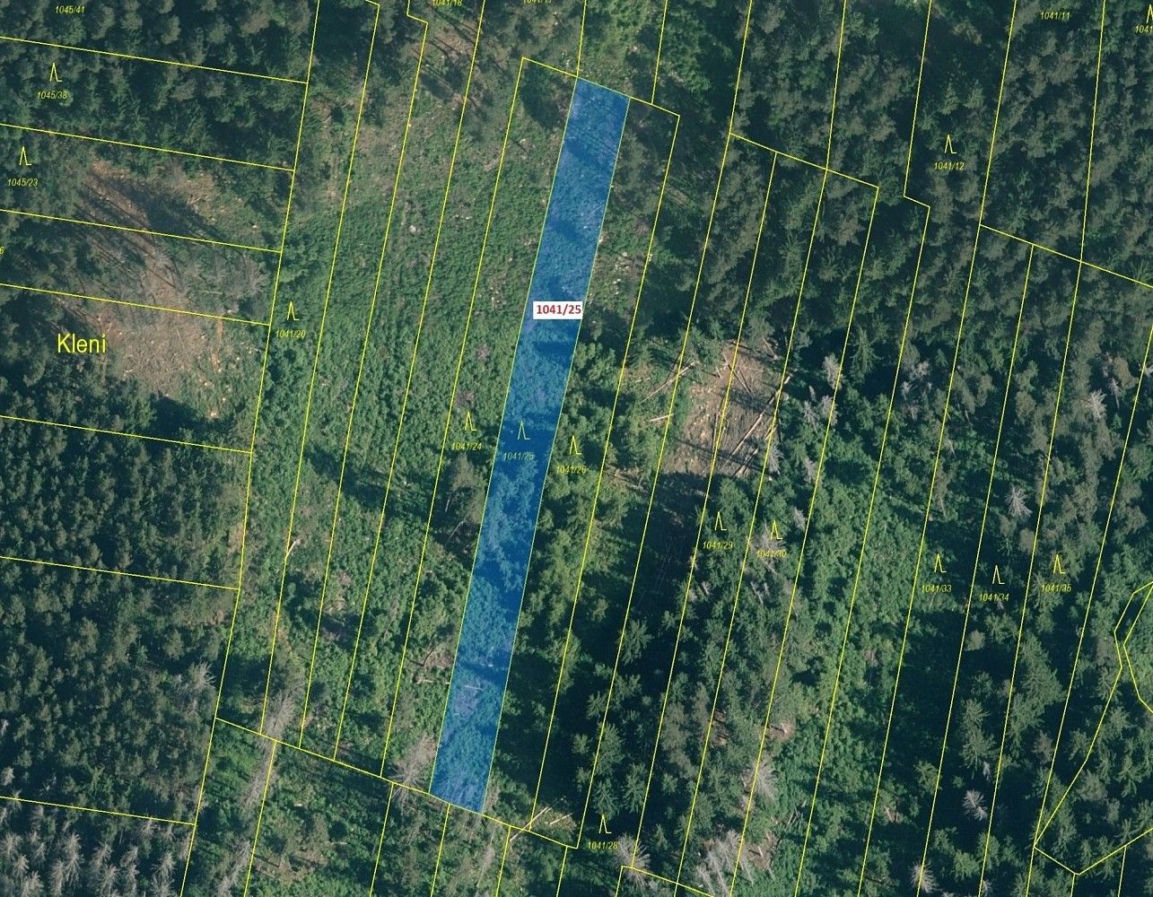 Les · Bohumilice, okres Prachatice, Jihočeský kraj - 2