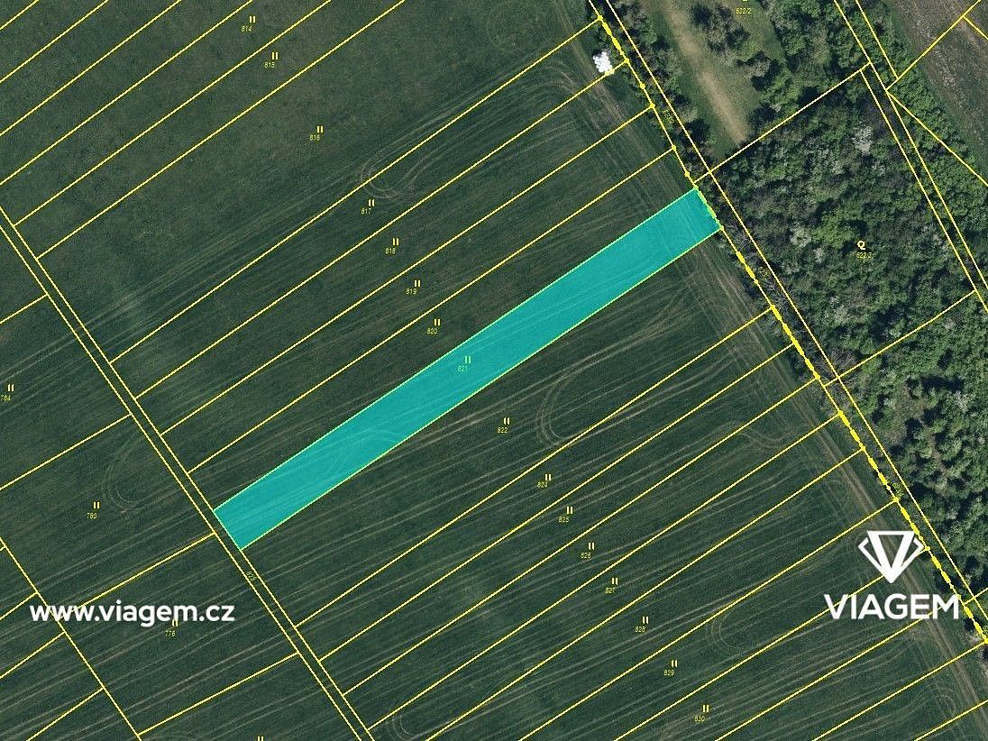 Zemědělský pozemek · Žiželice, okres Kolín, Středočeský kraj - 3