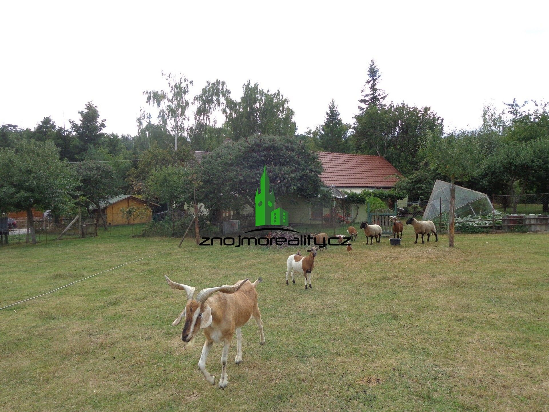 Pronájem byt 1+1 - Černín, 80 m²