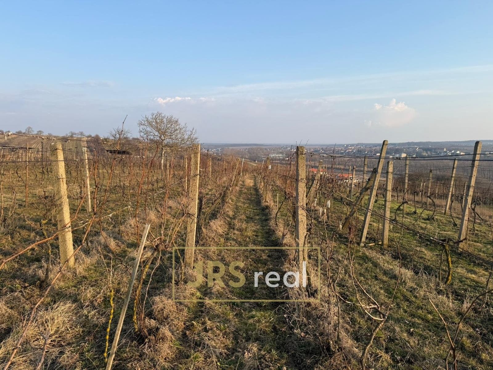 Prodej zemědělský pozemek - Mutěnice