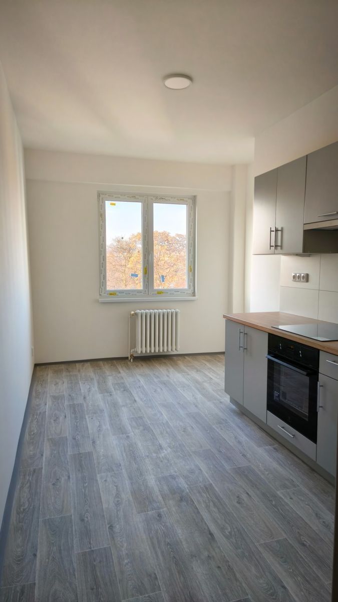 Byt 1+1 · 45 m² · Na Kopečku, Praha - Libeň - 3