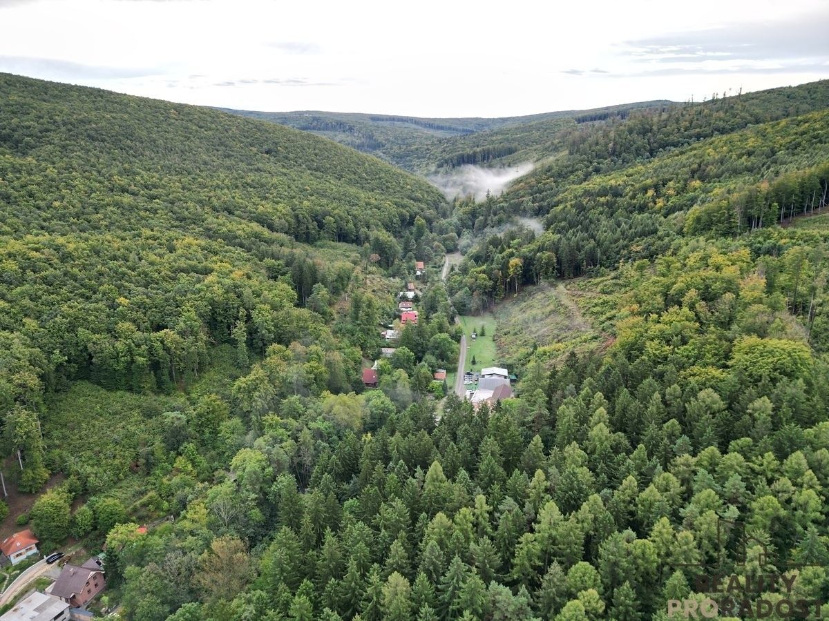 Komerční nemovitost · 52 m² · Javorník - 4