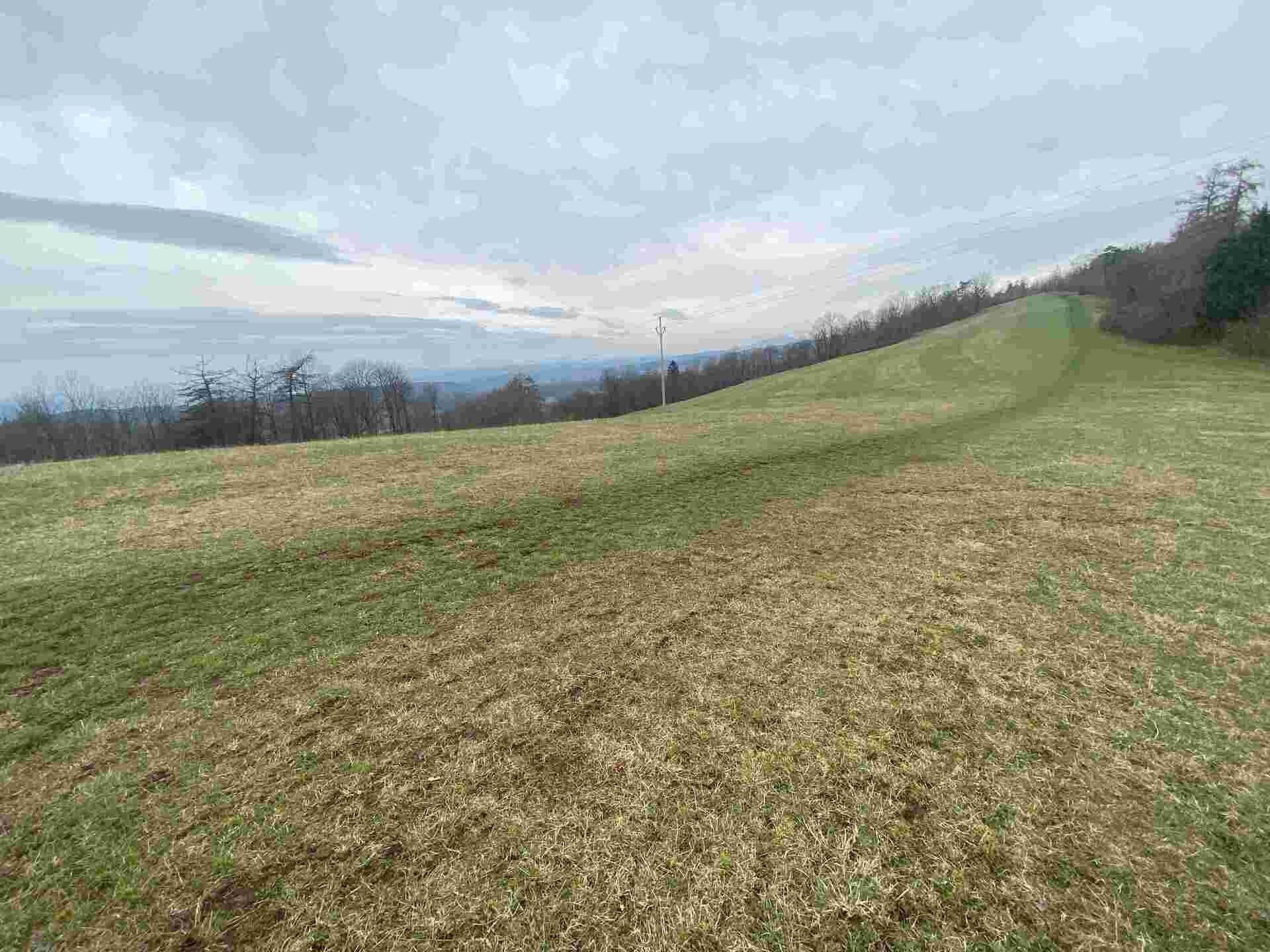Prodej zemědělský pozemek - Mírová pod Kozákovem, 20 m²