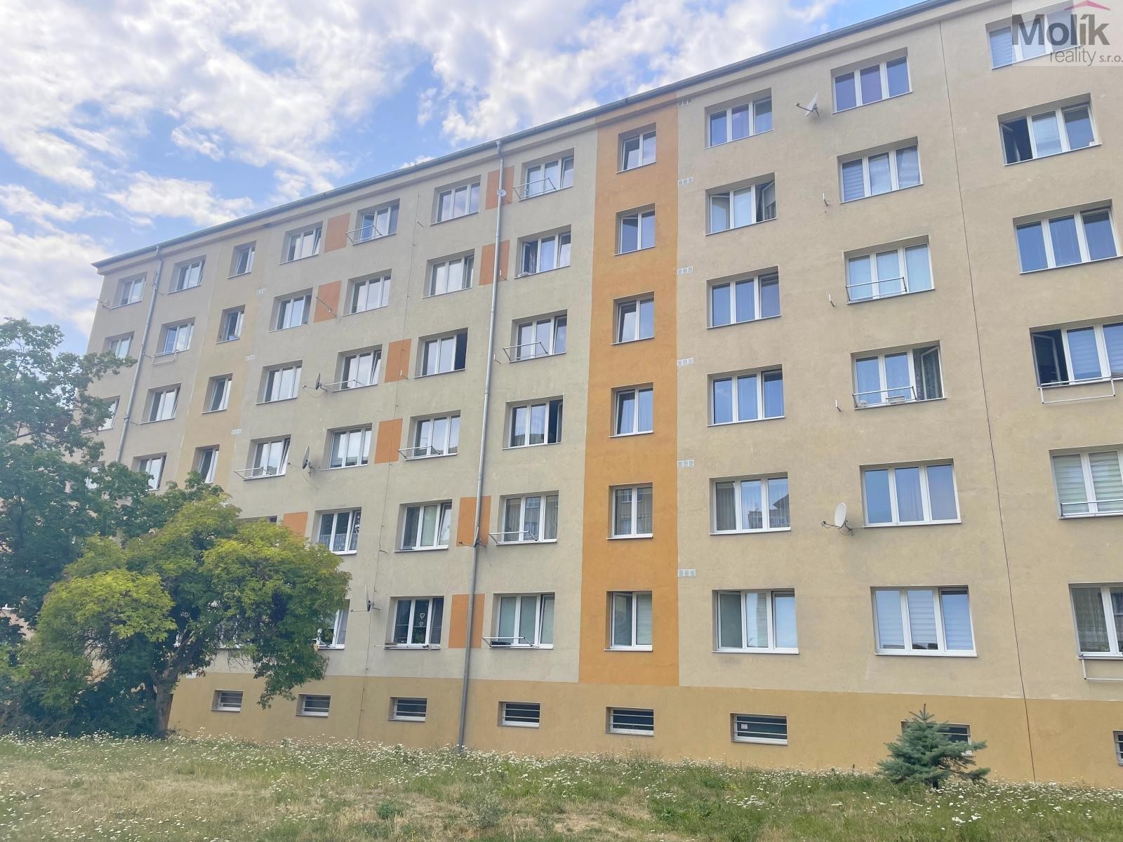Byt 2+1, 55 m²