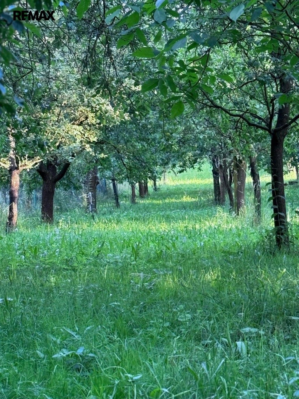 Pozemky pro bydlení, Podolí, 1 608 m² - 2