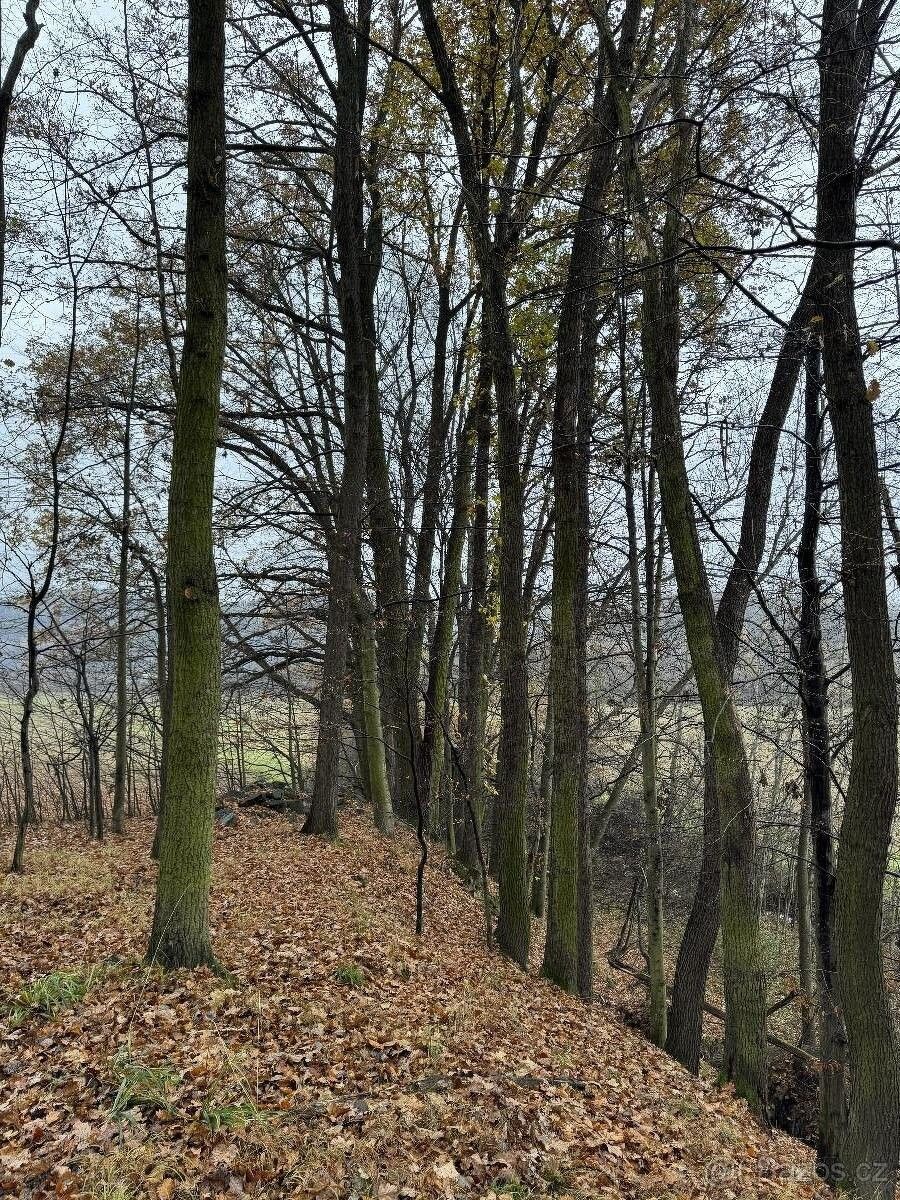 Prodej pozemek pro bydlení - Odry, 742 35 - 5