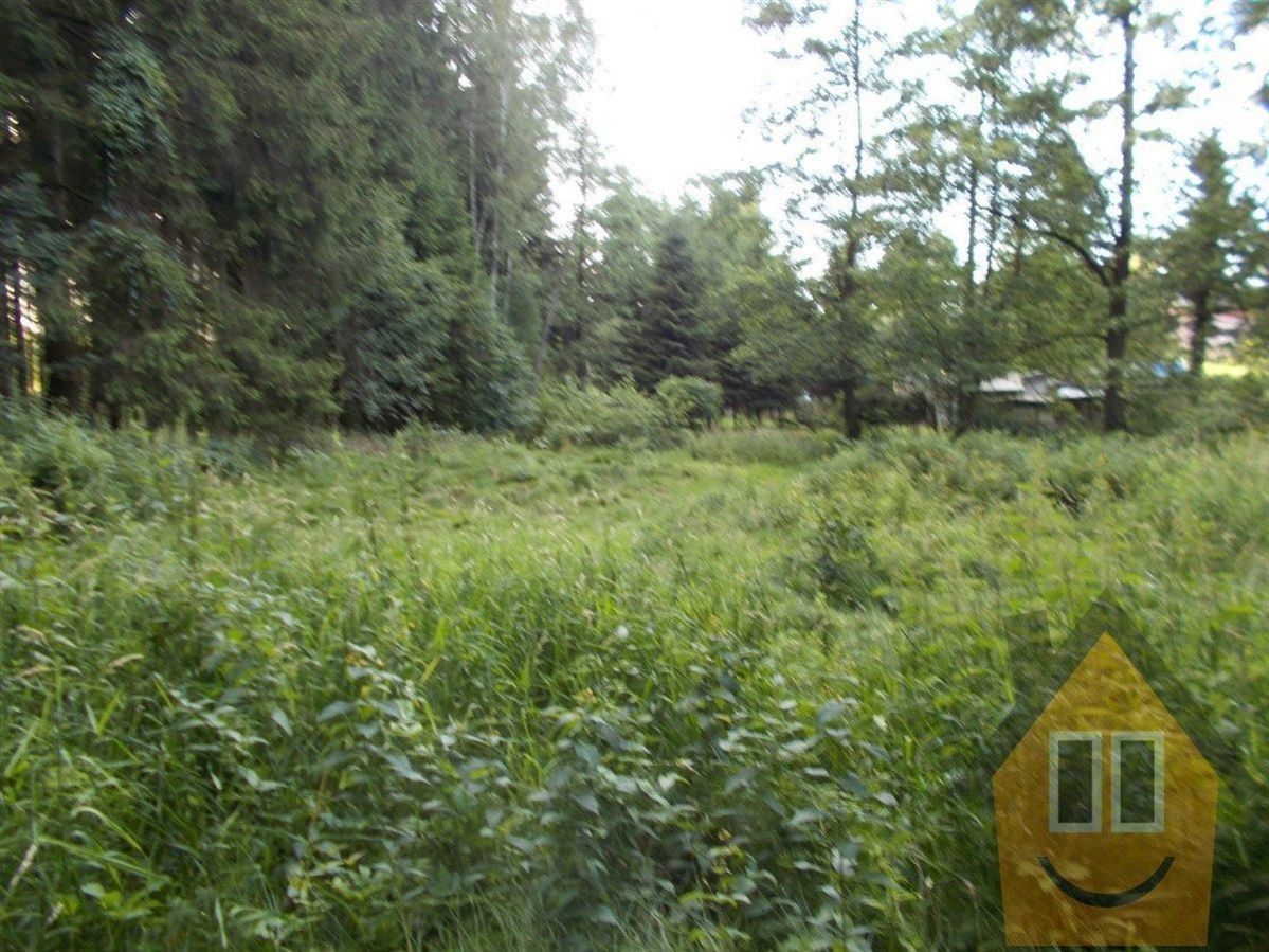 Prodej louka - Leopoldka, Velký Šenov, 3 266 m²