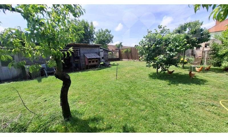 Prodej pozemek pro bydlení - Čejkovice