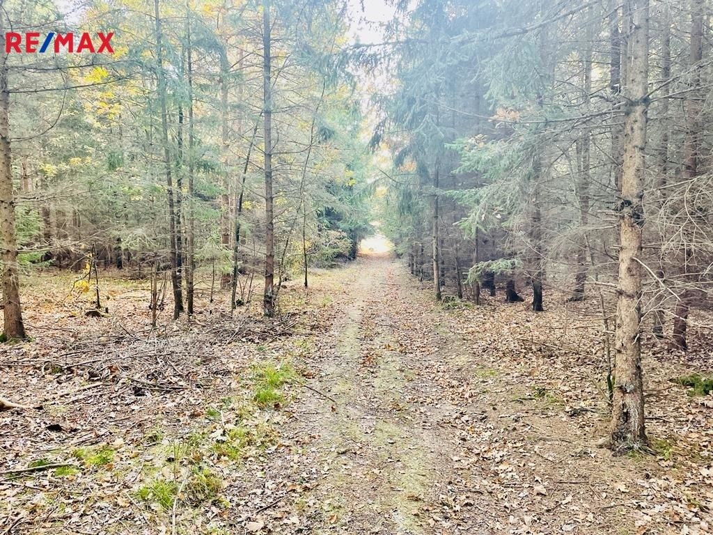 Prodej les - Pištín, 1 m²