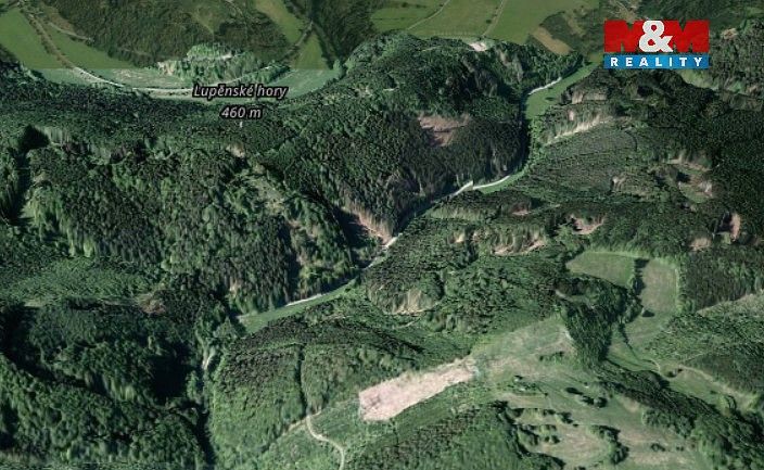 Les · Nemile, okres Šumperk - 4