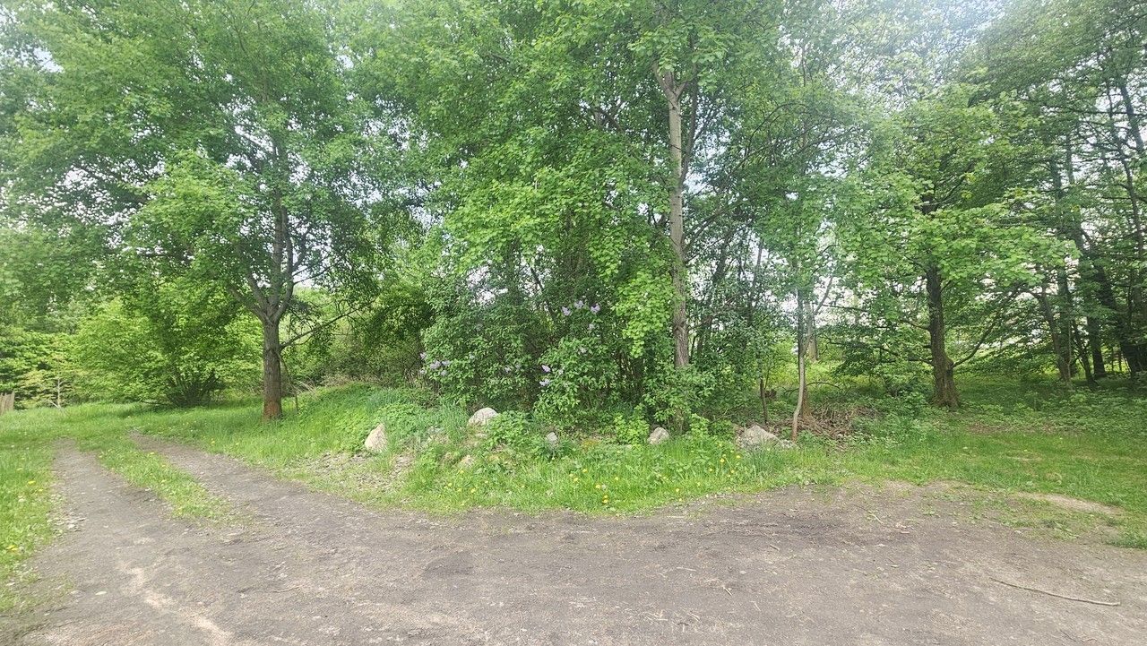 Pozemek · 9 589 m² · Malodoubská 43, Liberec XXIII-Doubí - 3