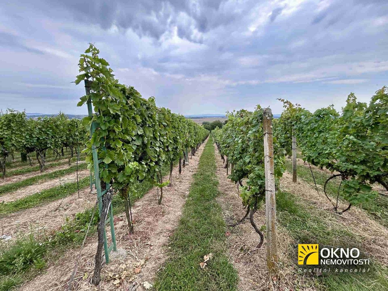 Zemědělské pozemky, Svatobořice-Mistřín, okres Hodonín, Jihomoravský kraj - 1