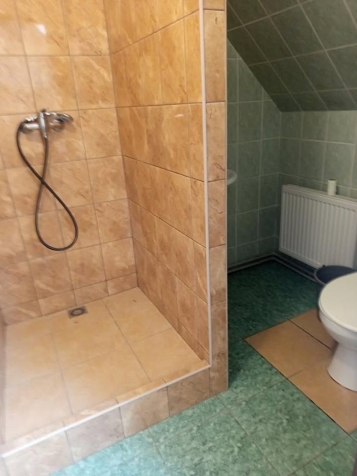 Pronájem rodinný dům - Luže, 538 54