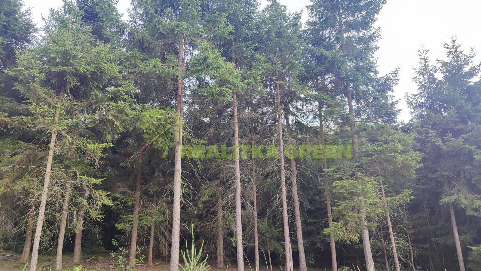 Lesy, Strměchy, Pelhřimov, 19 425 m²