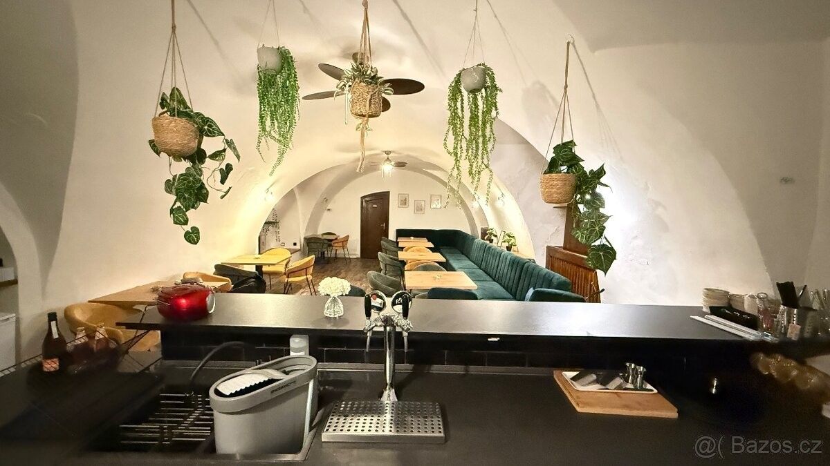 Restaurace, Hradec Králové, 503 11