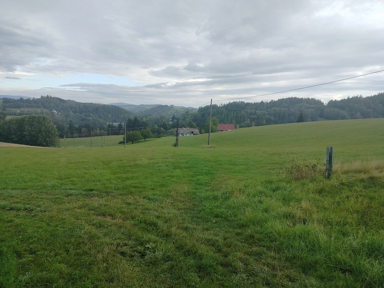 Louka · Nekoř, okres Ústí nad Orlicí - 3