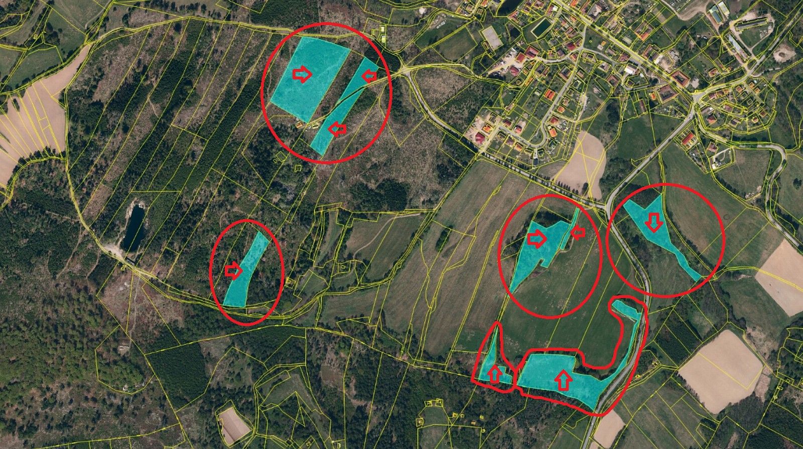 Les · Bdeněves, okres Plzeň-sever, Plzeňský kraj - 3