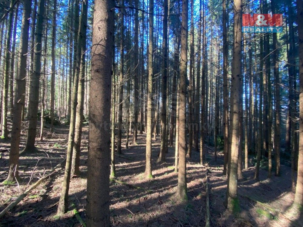 Lesy, Jankov, 5 373 m²