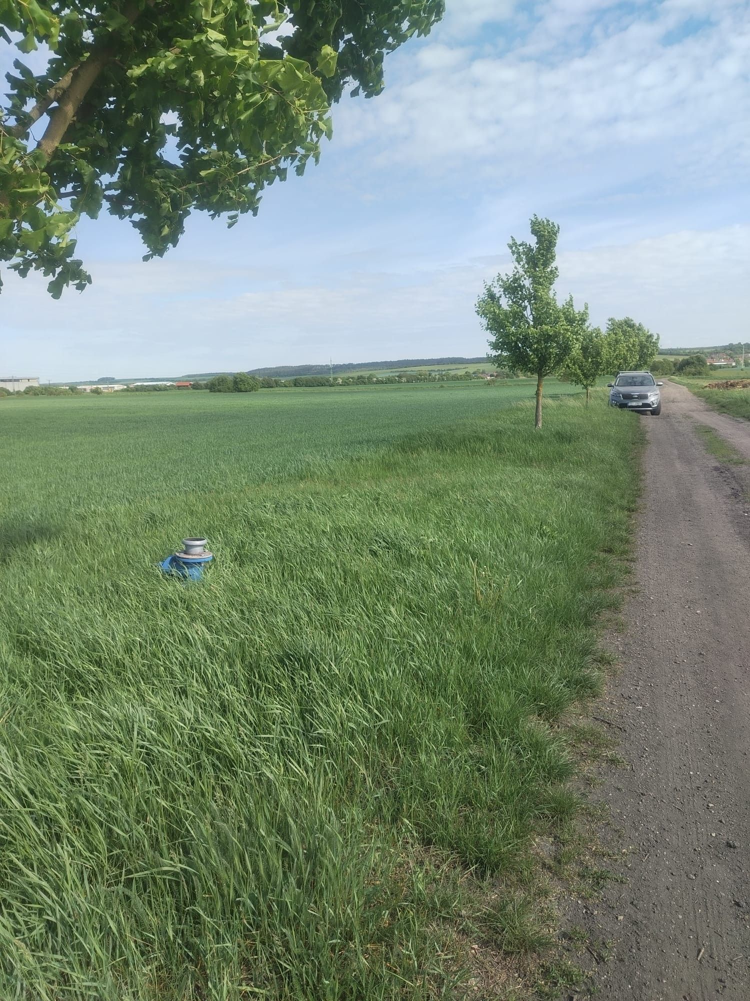 Zemědělské pozemky, Sudovo Hlavno, 10 380 m² - 2