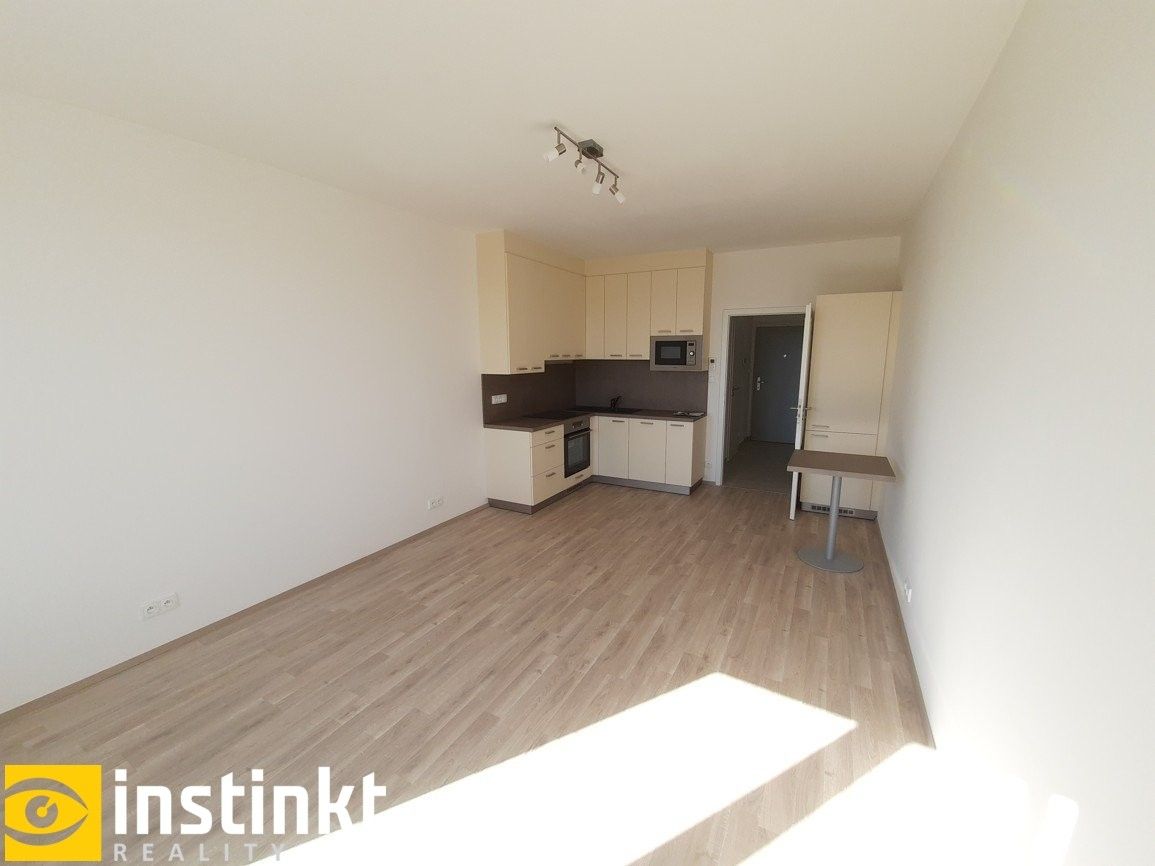 Byt 1+kk · 33 m² · Nemocniční, Plzeň Jižní Předměstí - 4