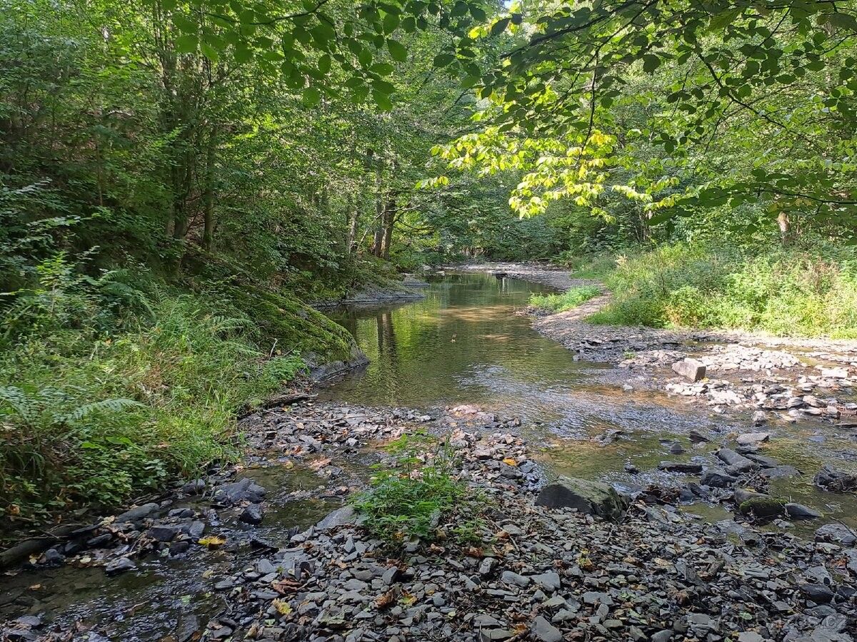 Ostatní, Horka nad Moravou, 783 35 - 2