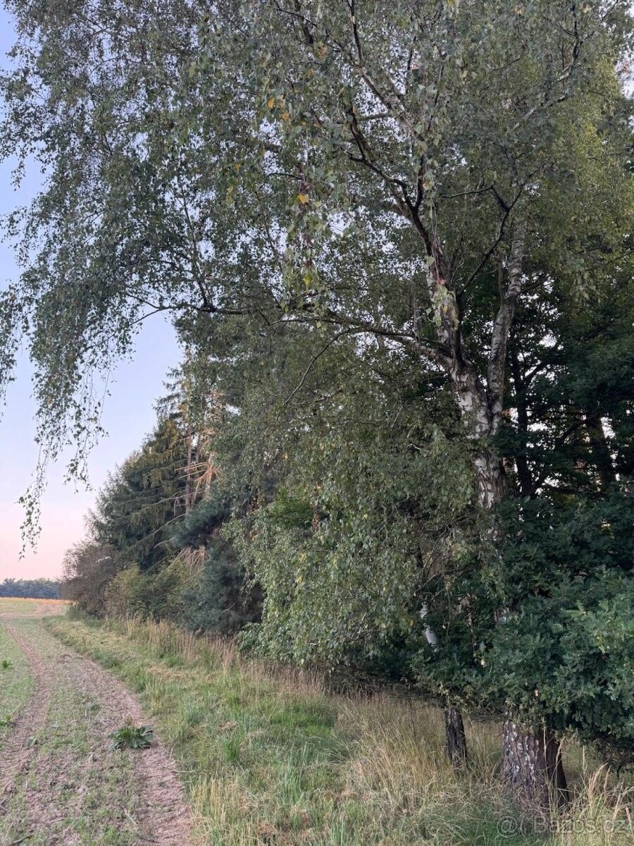 Prodej pozemek pro bydlení - Mnichovo Hradiště, 295 01