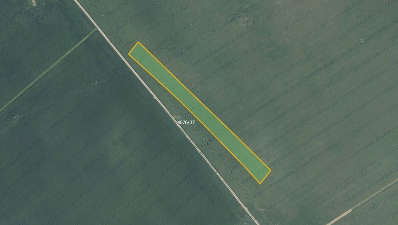 Zemědělské pozemky, Moravská Nová Ves