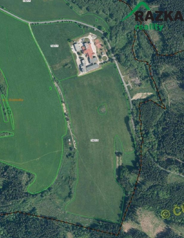 Prodej zemědělský pozemek - Svobodka, Halže, 141 968 m²