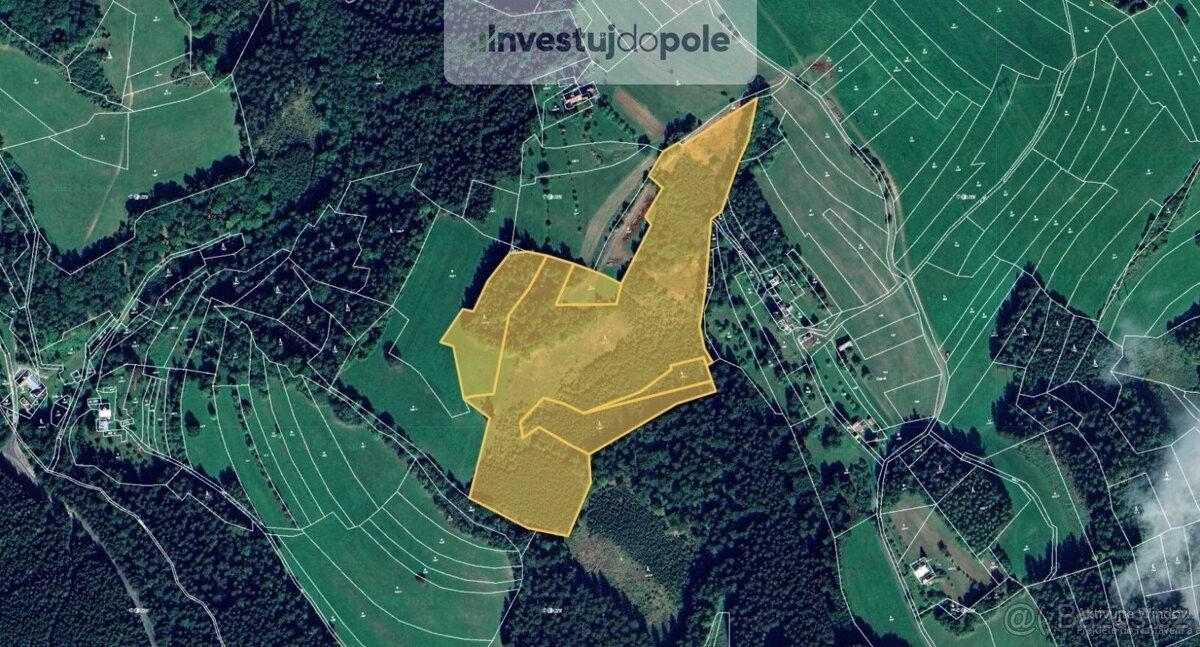 Prodej les - Francova Lhota, 756 14, 54 930 m²