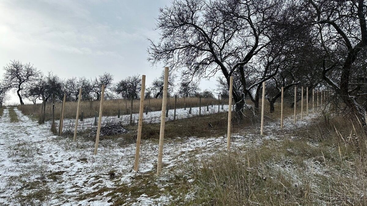 Prodej zahrada - Němčičky u Břeclavi, 691 07