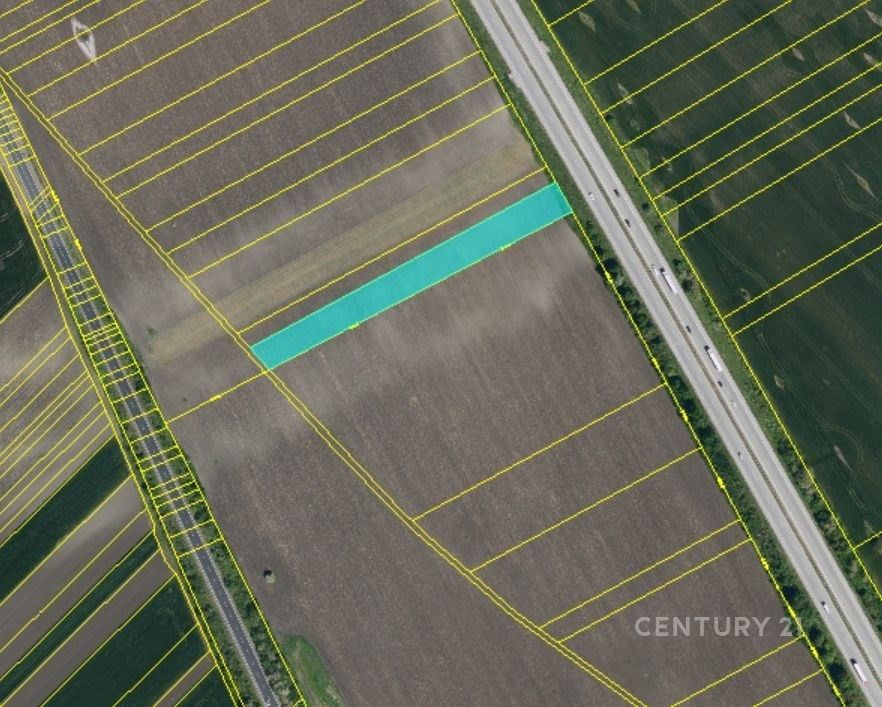 Prodej zemědělský pozemek - Velké Pavlovice