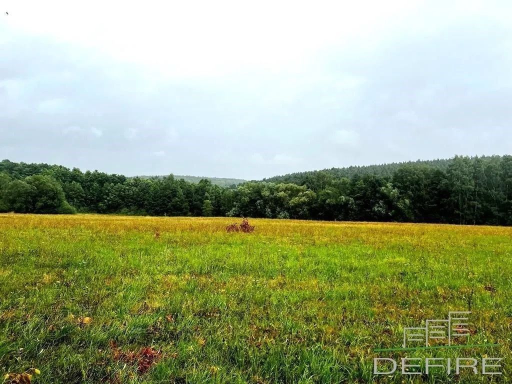 Prodej pozemek pro bydlení - Trhanov