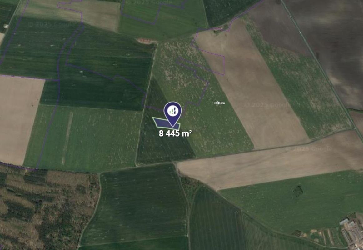 Prodej zemědělský pozemek - Luštěnice, 2 815 m²