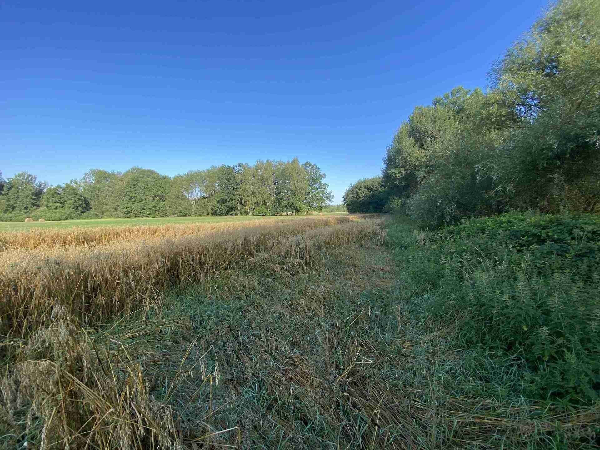 Prodej pozemek - Žíteč, Chlum u Třeboně, 1 m²