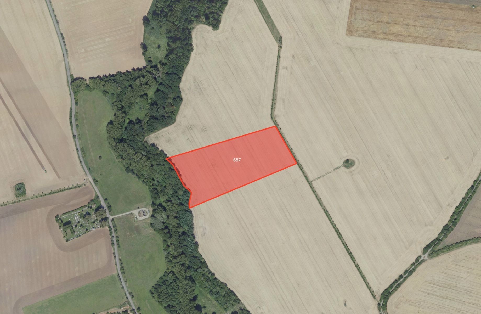 Prodej zemědělský pozemek - Sluštice