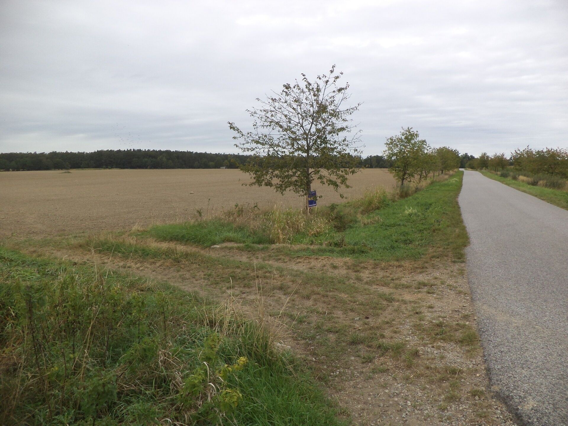 Prodej pozemek - Tupesy, Radošovice, 1 m²