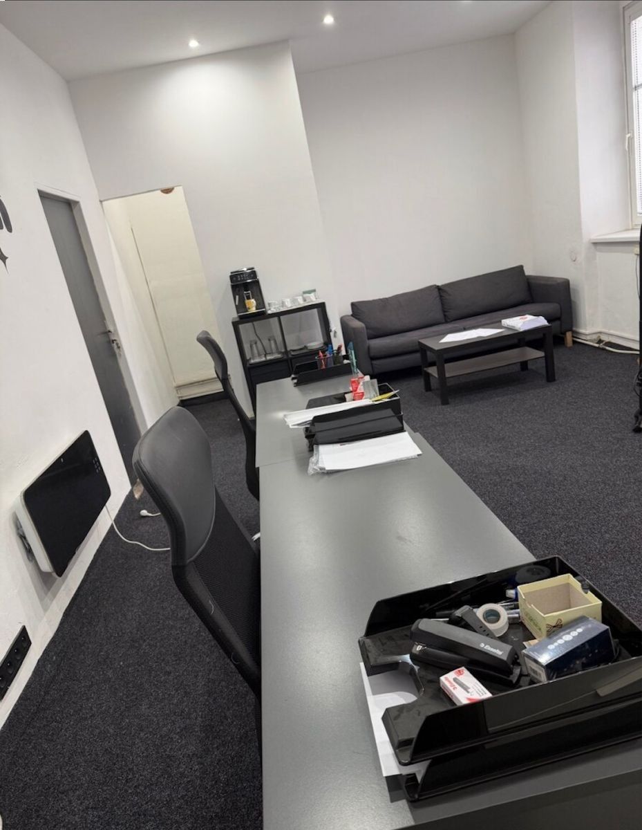 Komerční nemovitost · 120 m² · Olomoucká, Opava - 4