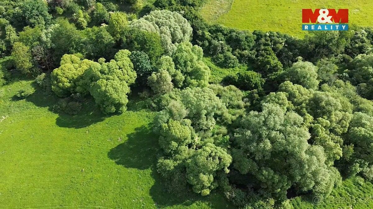 Prodej pozemek pro bydlení - Spálené Poříčí, 335 61