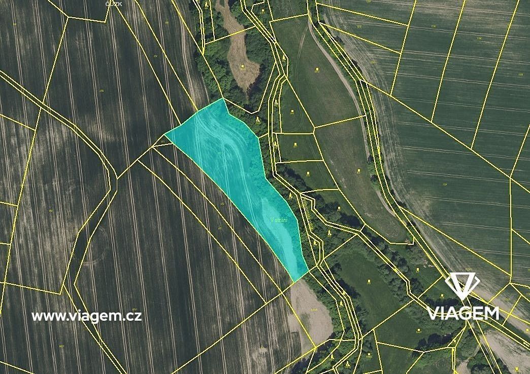 Zemědělský pozemek · Petroupim, okres Benešov, Středočeský kraj - 3