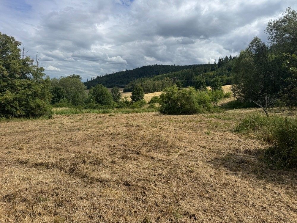 Pozemek pro bydlení · Město Albrechtice, 793 95 - 4