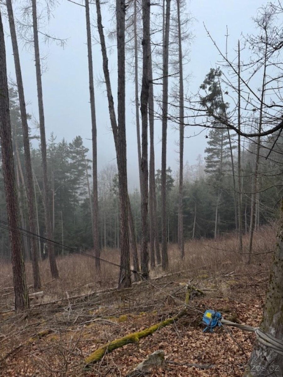 Prodej pozemek pro bydlení - Stachy, 384 73